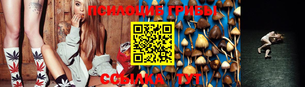 Чайковский  Галлюциногенные грибы прущие грибы  Галлюциногенные грибы Cubensis  Вход с VPN 